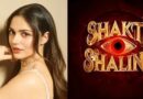 Shakti Shalini to Dodge Clash with Shah Rukh Khan’s King? Makers Eye March Release